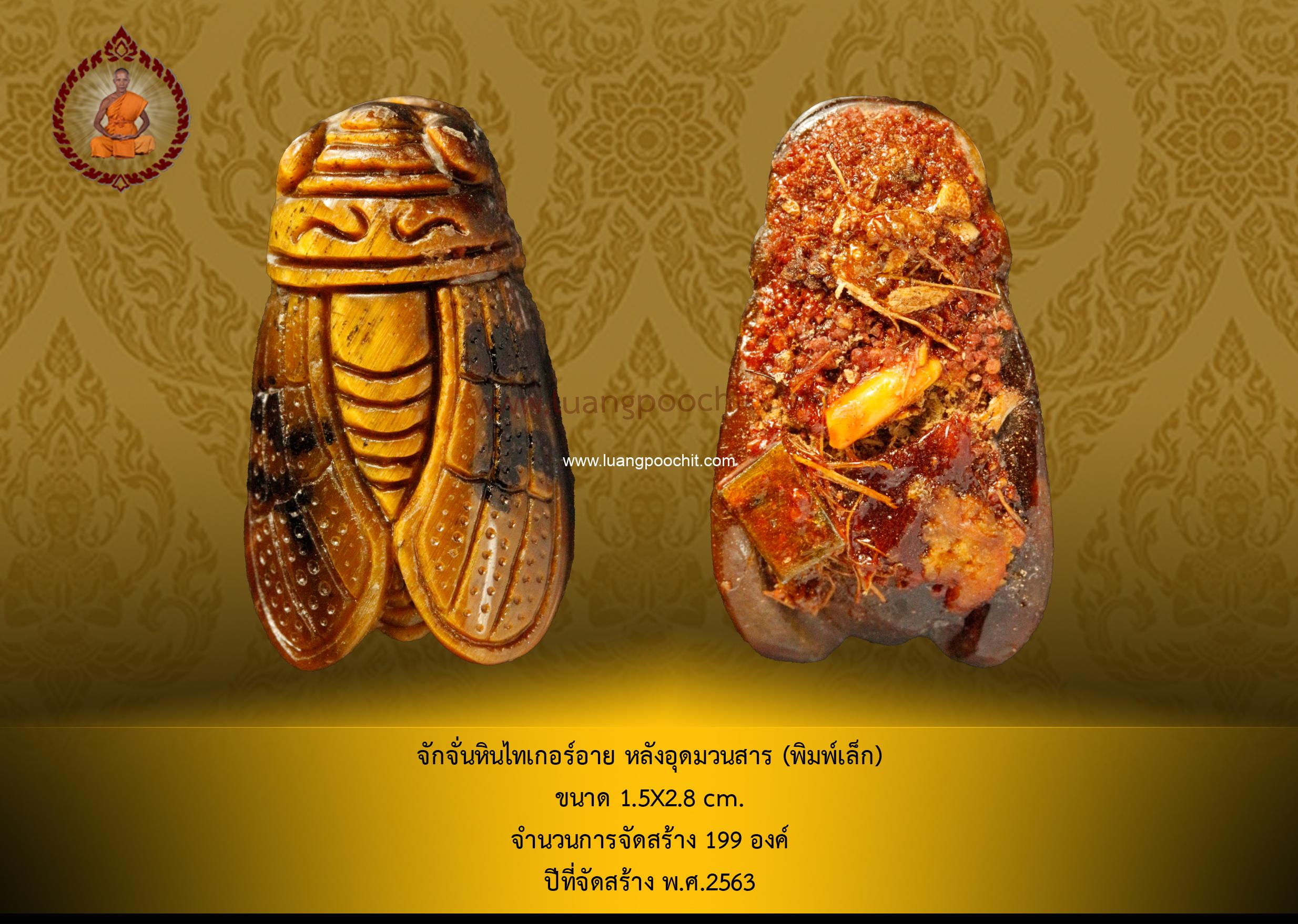 จักจั่นหินไทเกอร์อาย พิมพ์เล็ก หลวงปู่ชิต ปี 2563
